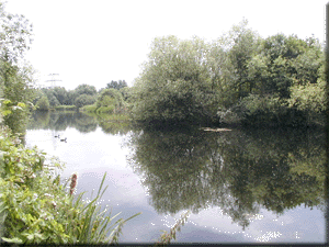 Slipe Lane Fishery